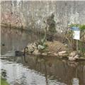 Famous Black Swans